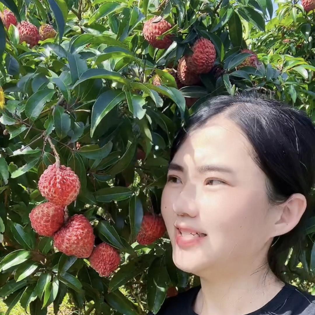 橙橙家精品鲜果 果园直发