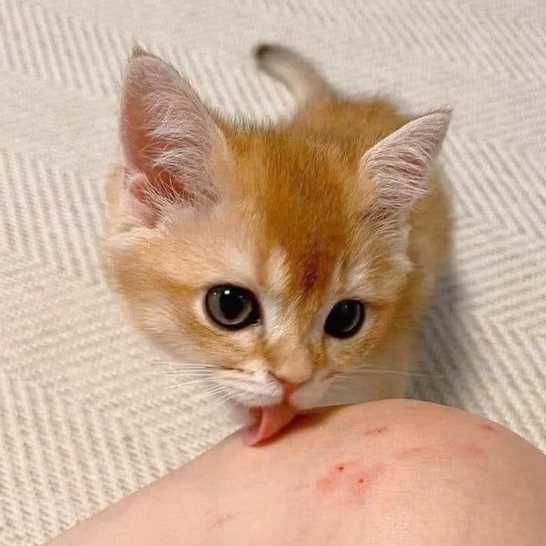 六婚终于读懂爱¹⁵³