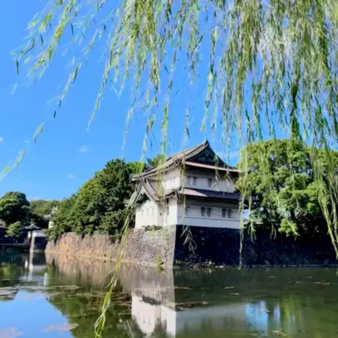 抖音168
