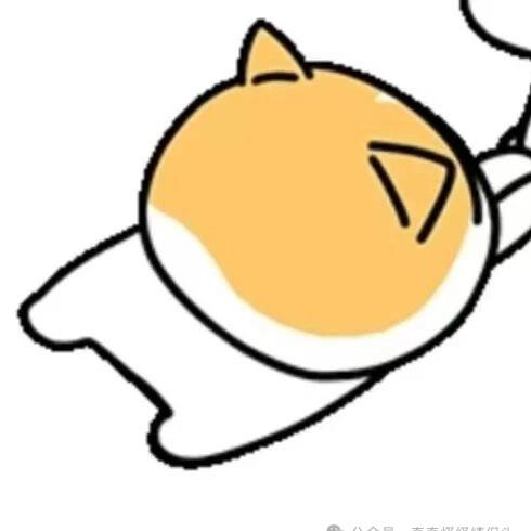 11_Yy琦