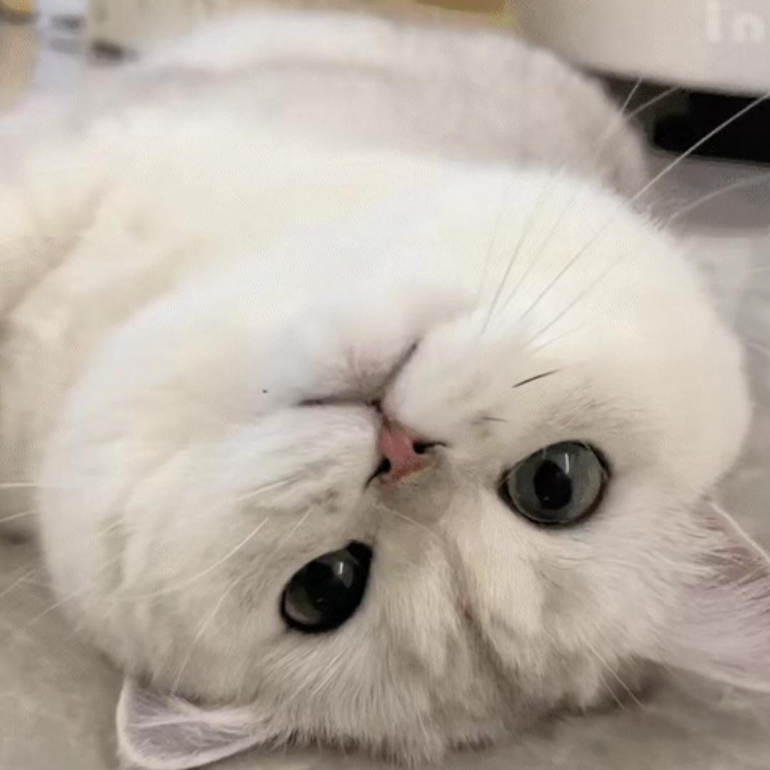 okk的