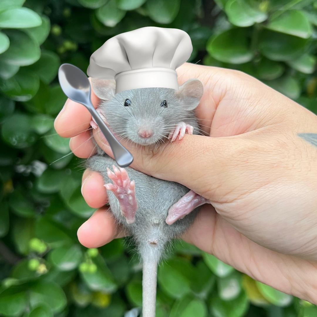 牧宠森韵花枝鼠