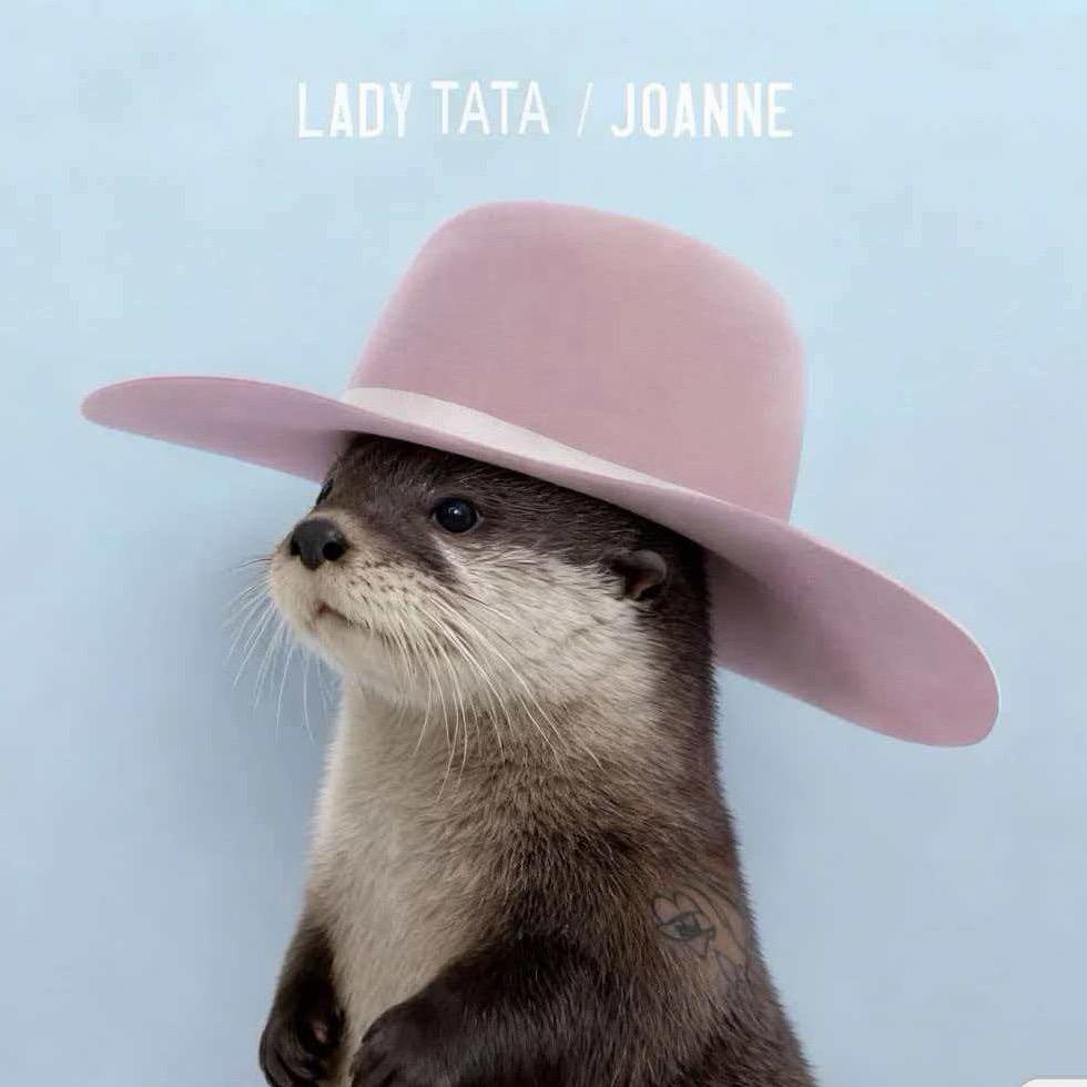 小小坦        🧸