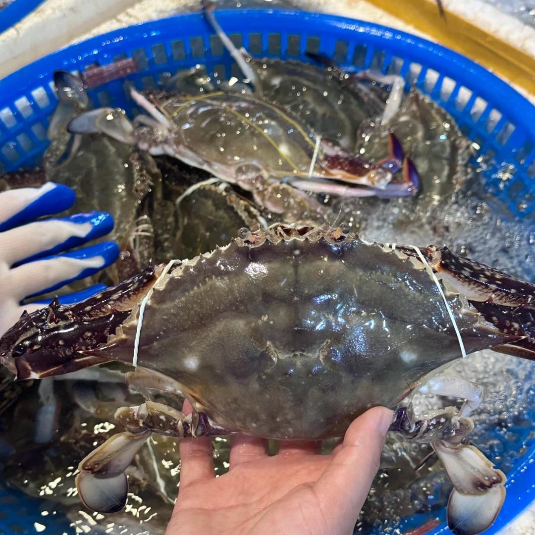 霞霞生鲜
