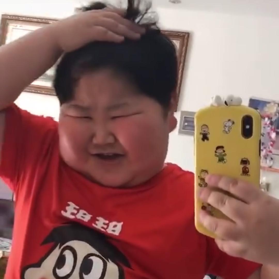 浪浪不饿了