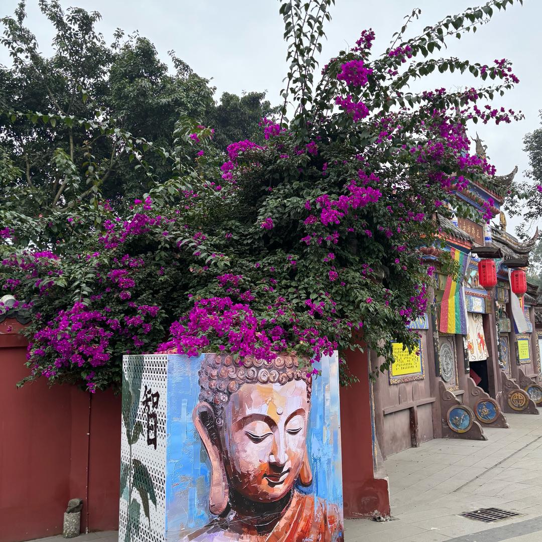 呦呦鹿鸣环游世界