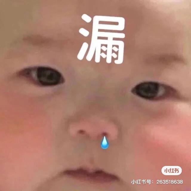 秃秃熊🍚