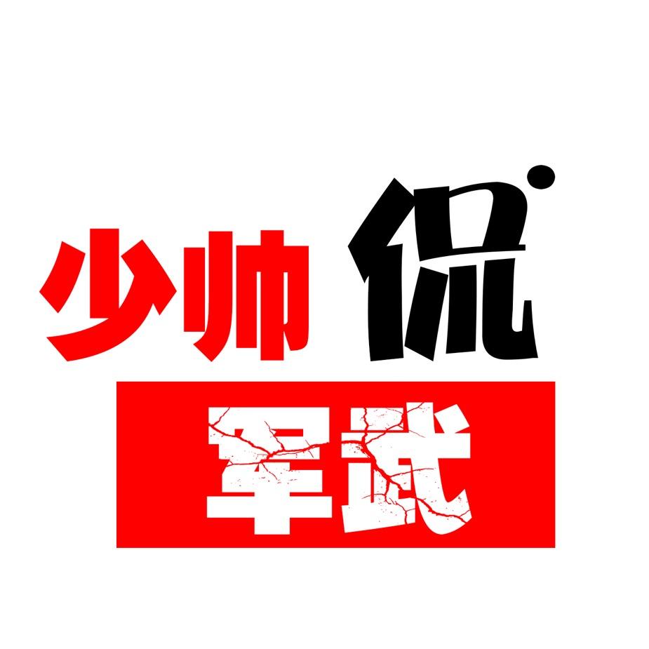 少帅军武