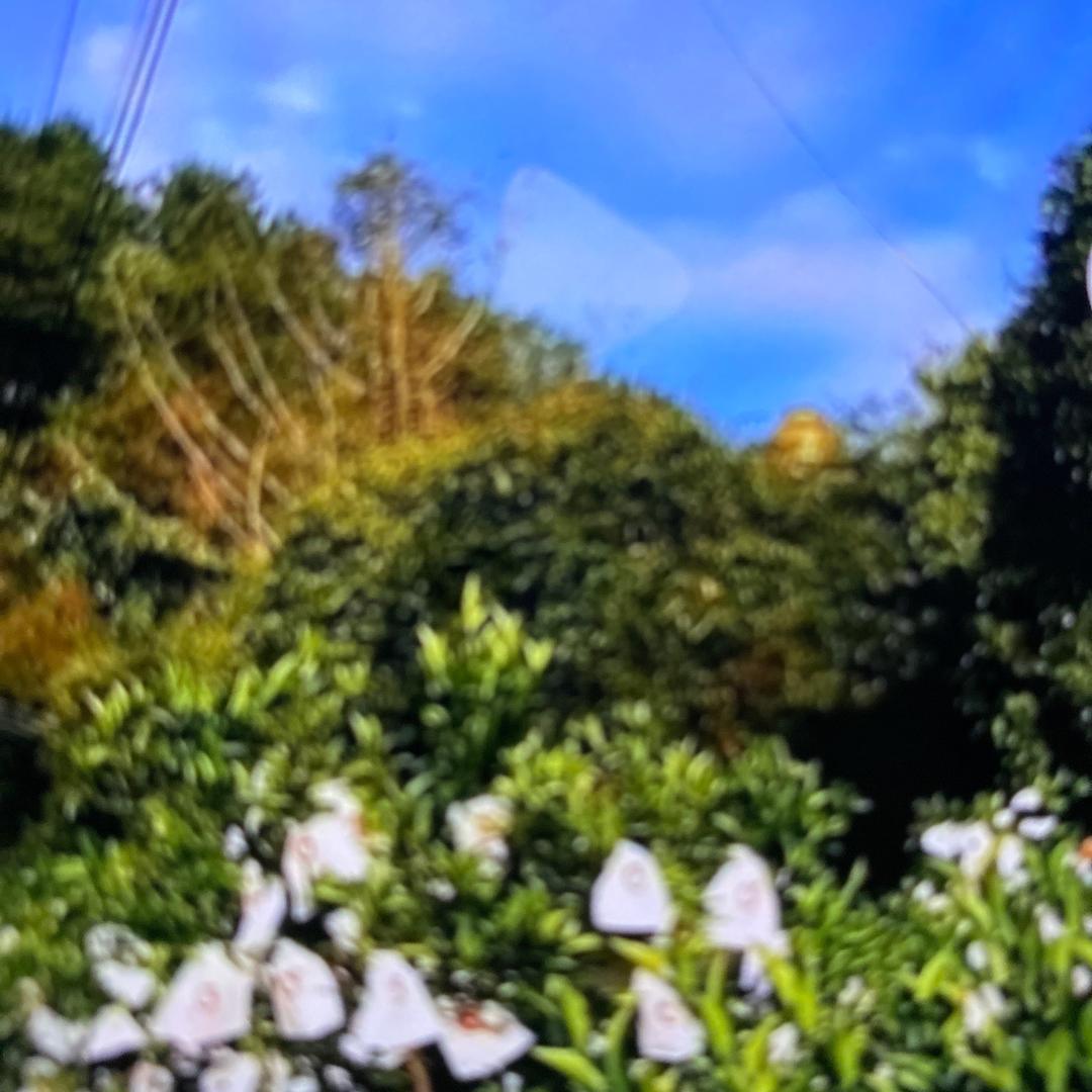 老刘和小刘