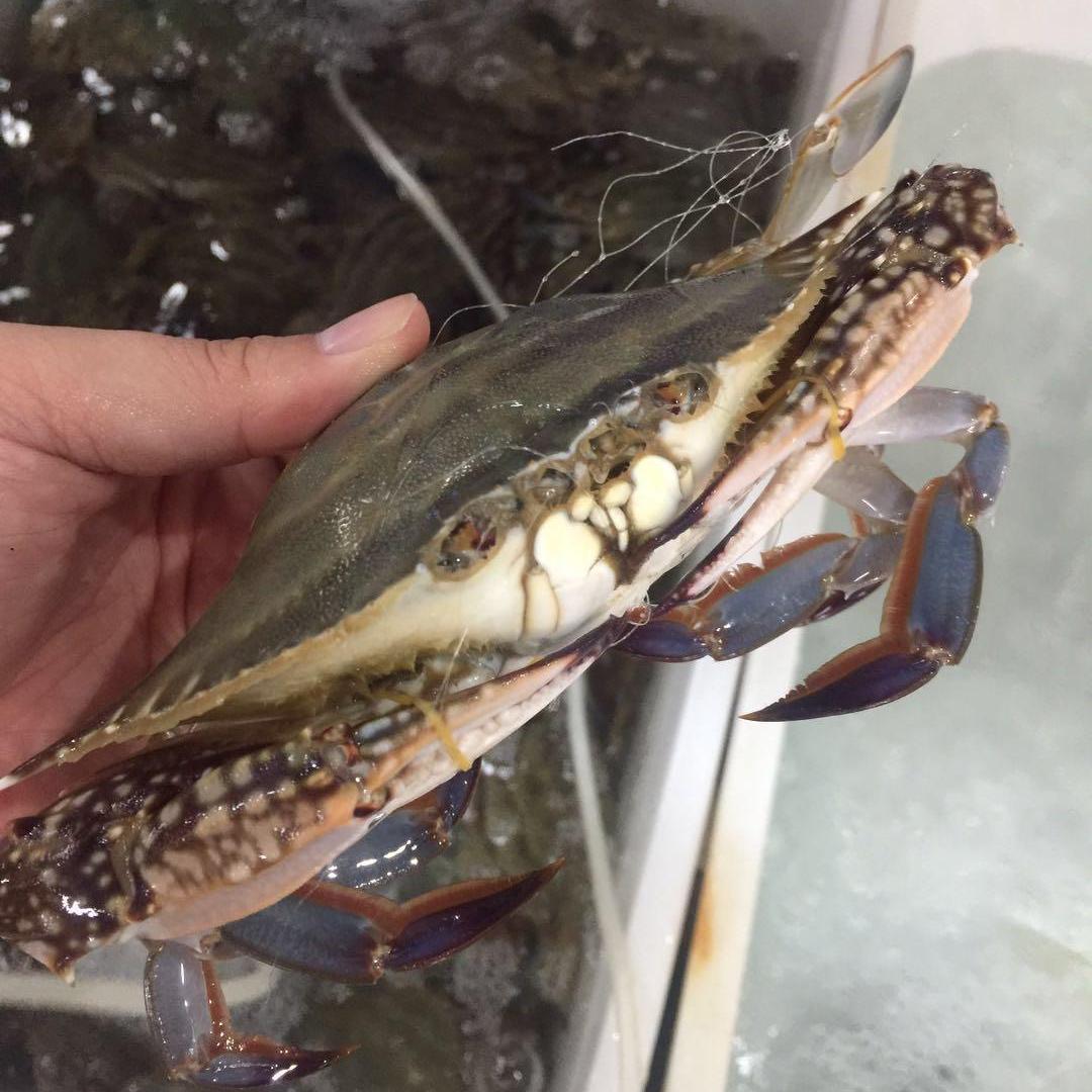 美味来优选海鲜