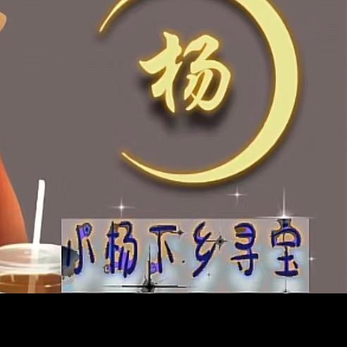 小杨下乡寻宝