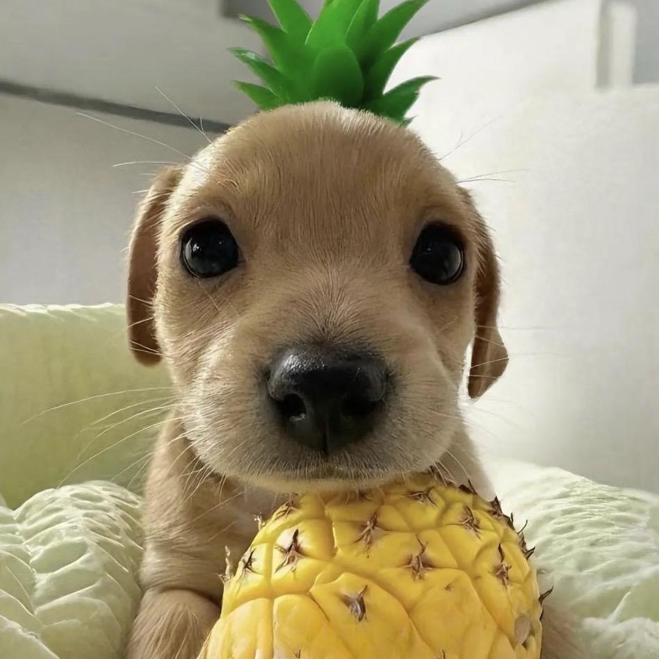 菠萝.🍍