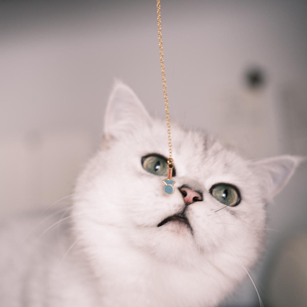 🍊橙橙子_