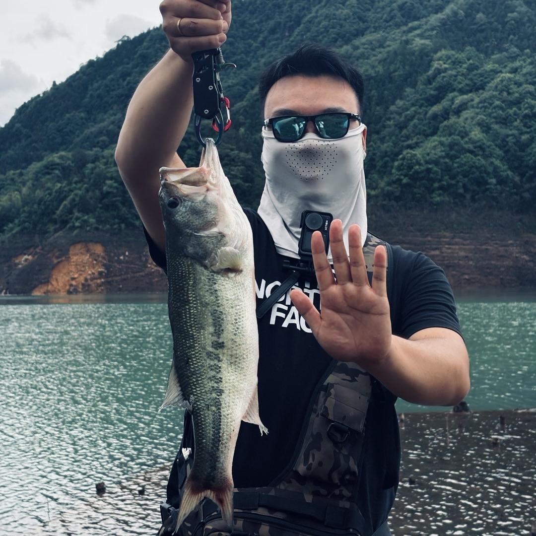 虫虫路亚🎣