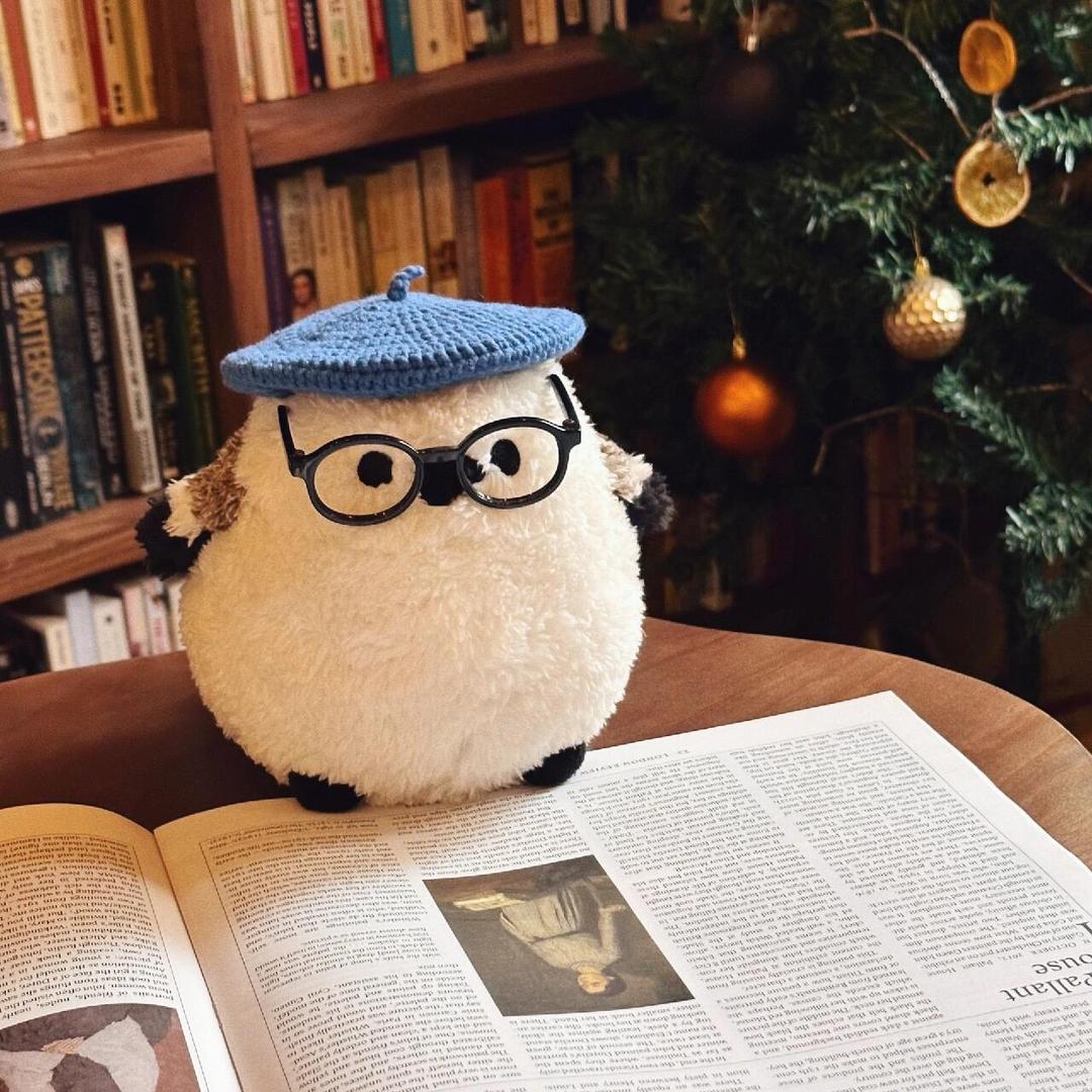 阳阳老师说学习