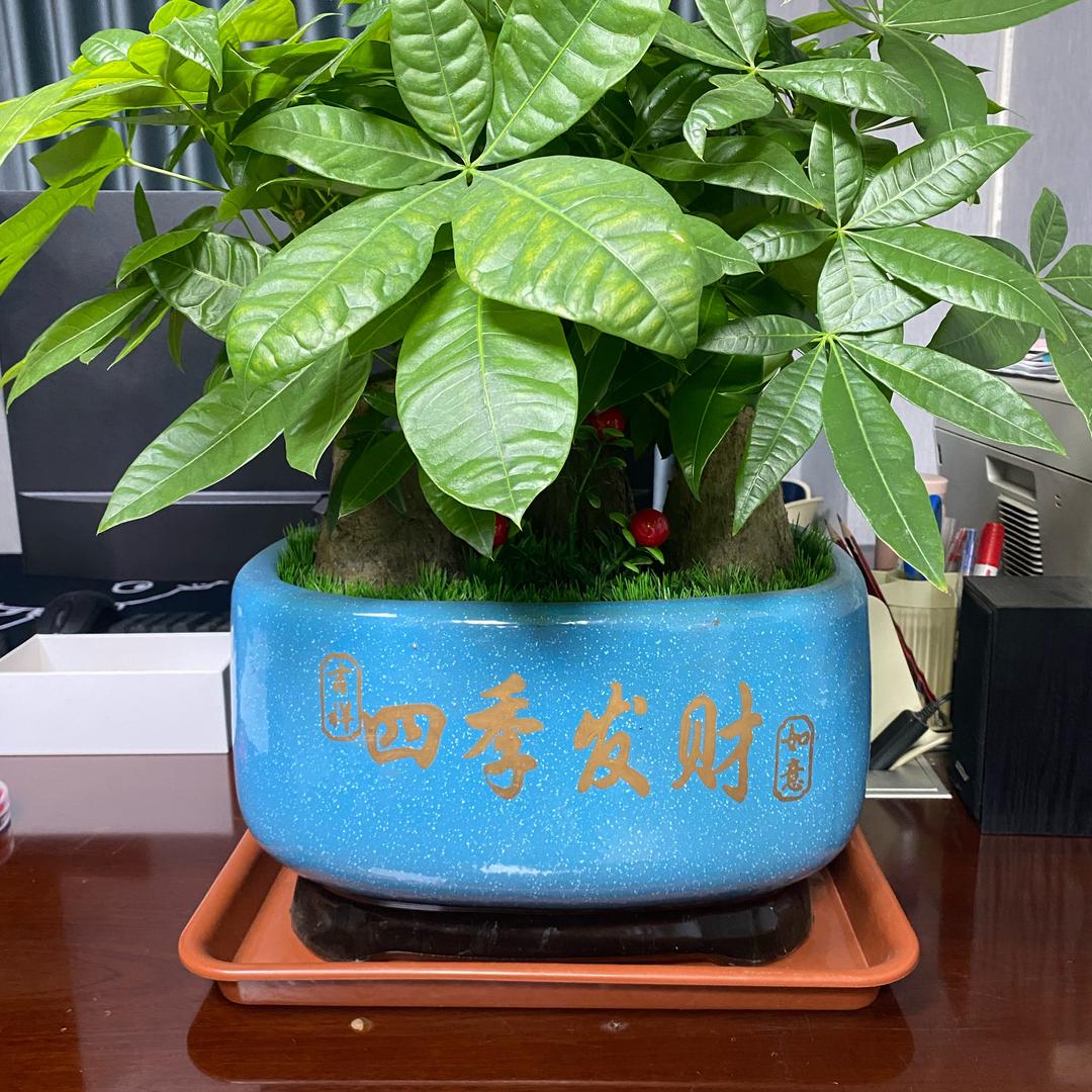 奔特娱乐中心
