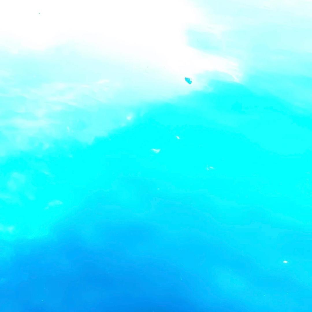 /钻石阳少💎-