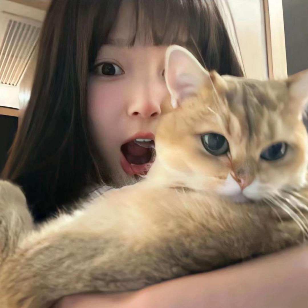 ꒦ິ^꒦ິ