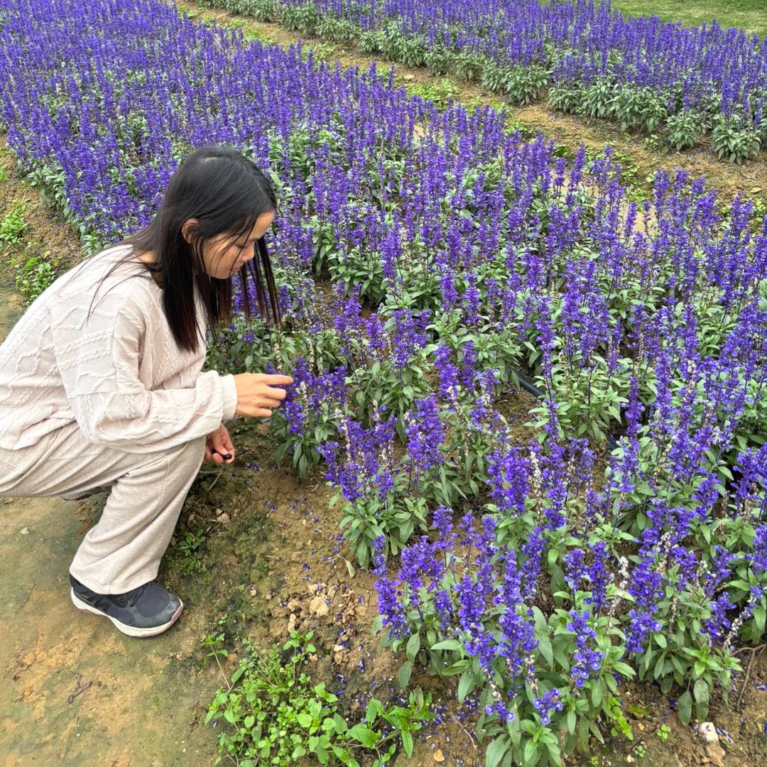 长空姐姐在南美洲智利