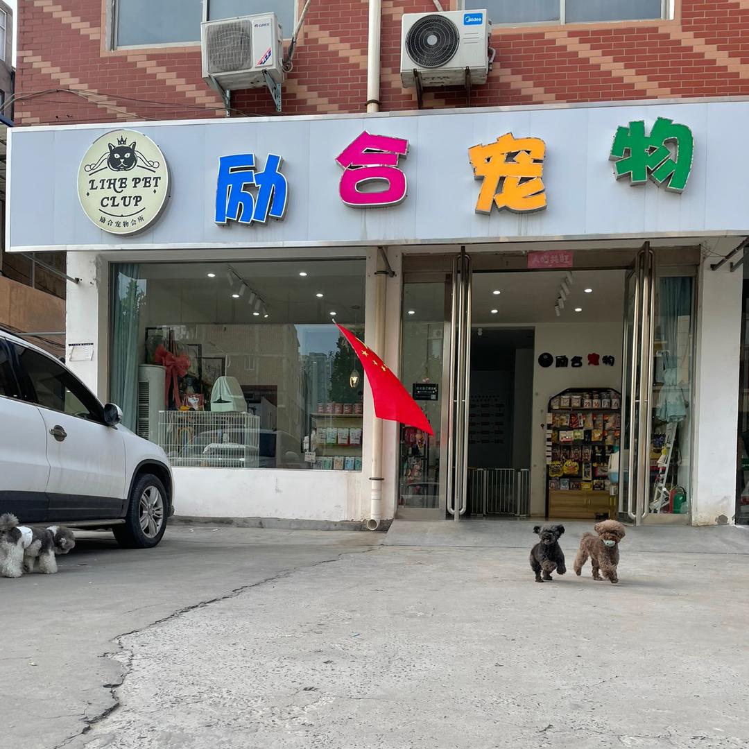 励合宠物