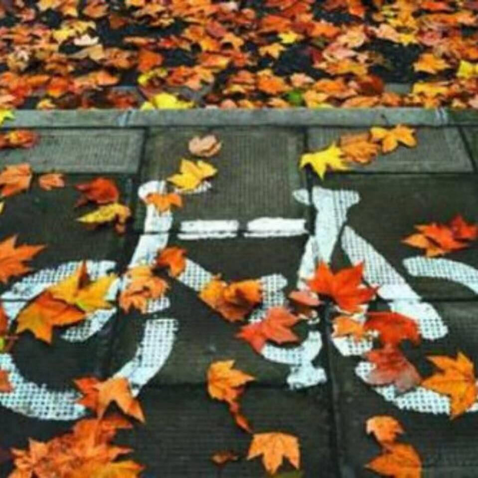 叶落