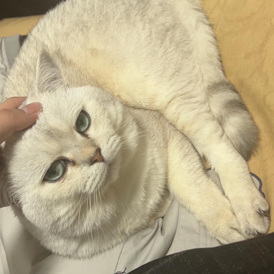 風…