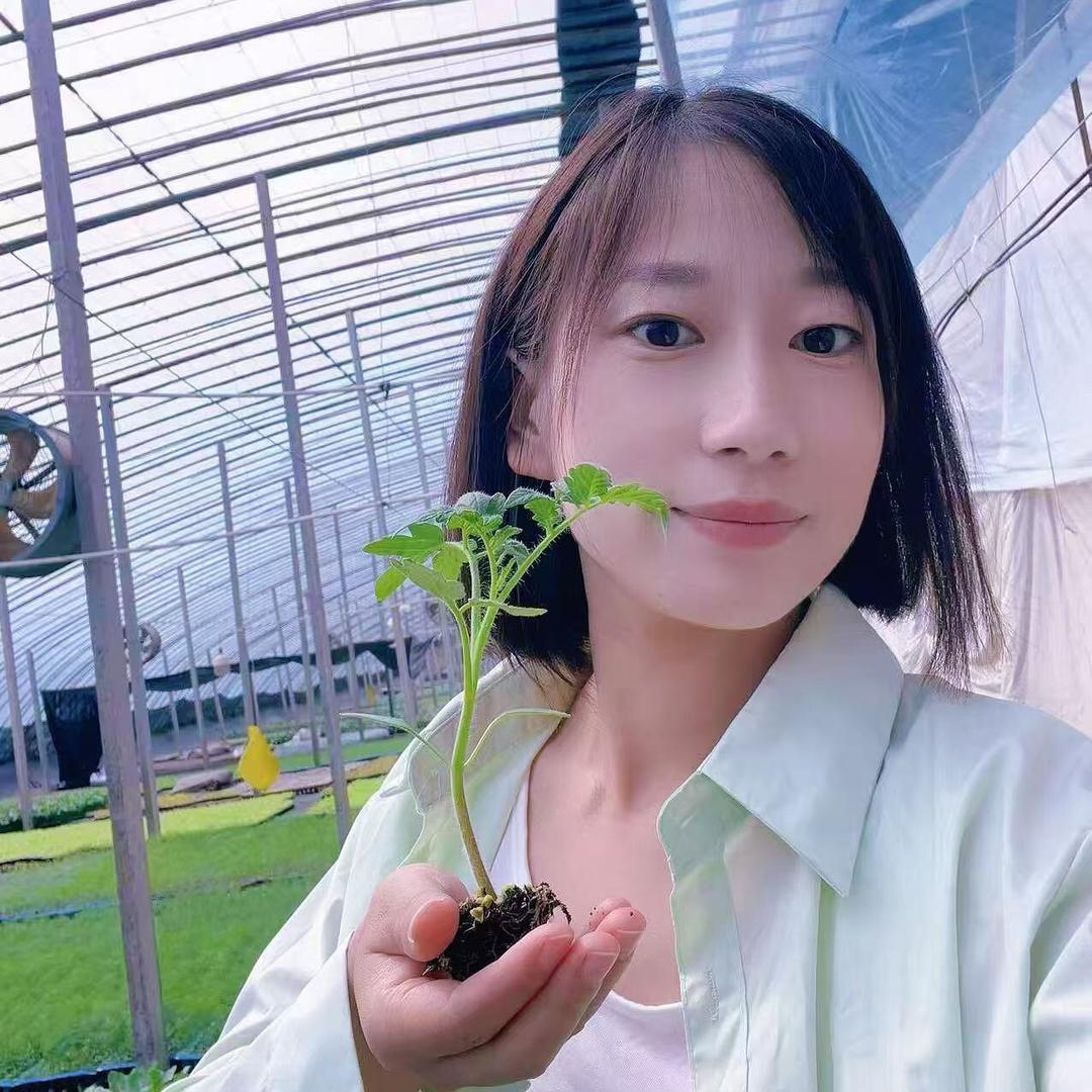新农人小珂珂