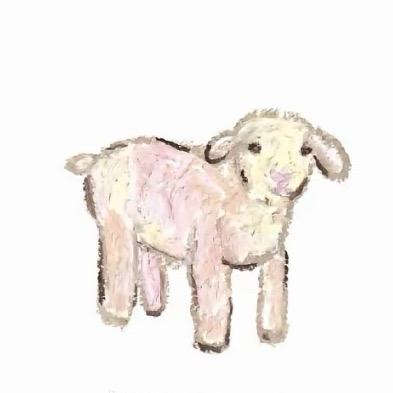 小羊驼🦙