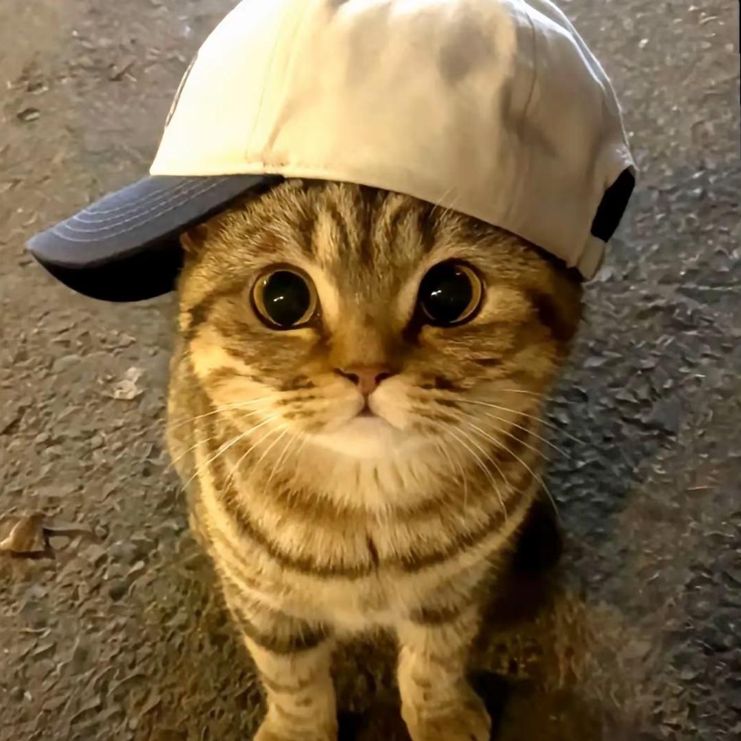 张于小丸子