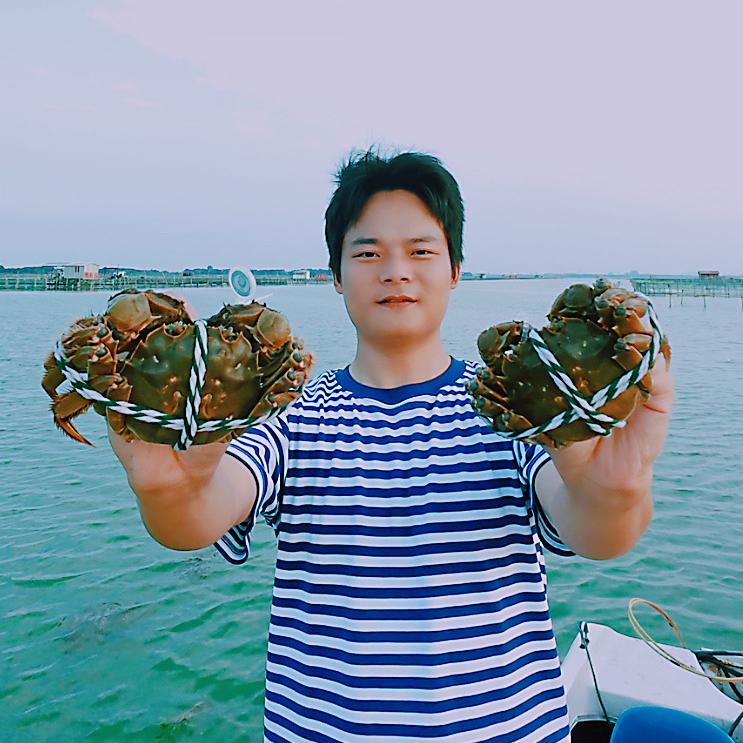 森焱纵横大闸蟹
