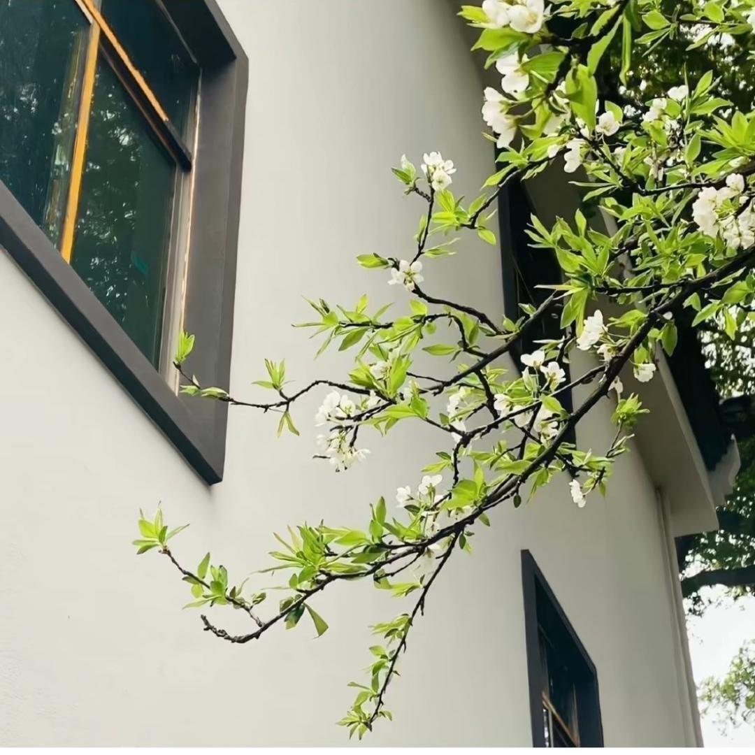 真的不知道是知道的