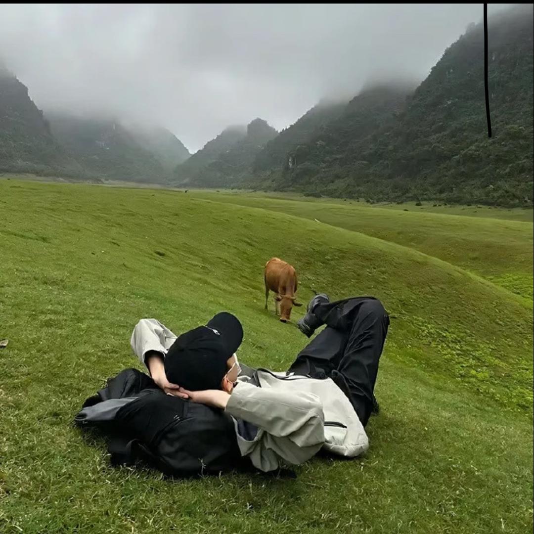 冬尘缘