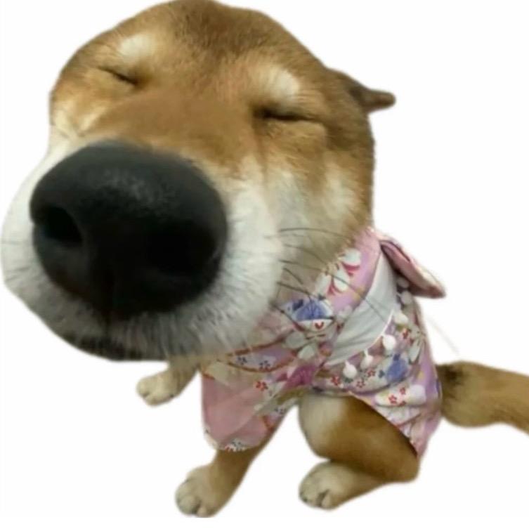 螺蛳粉里的炸腐竹