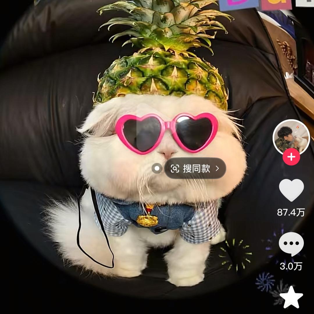亦果