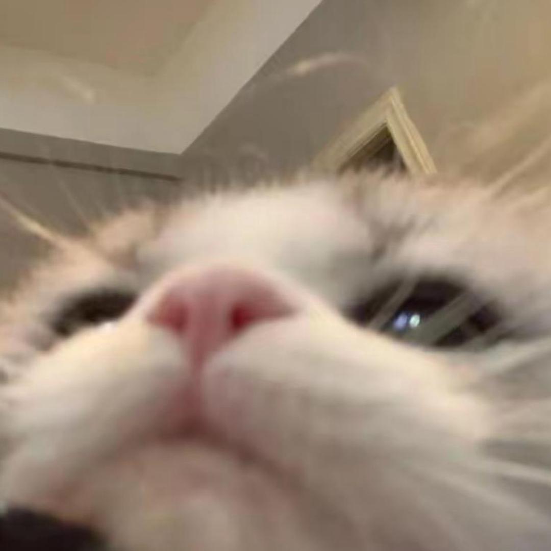 uu
