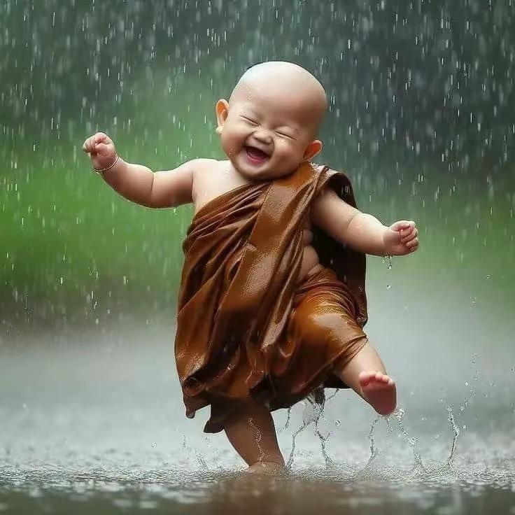 ✨KC湖洋尾✨