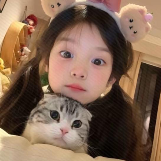 鑫鑫·