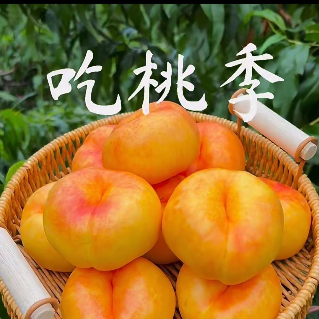 李小桃.（桃子搬运工）