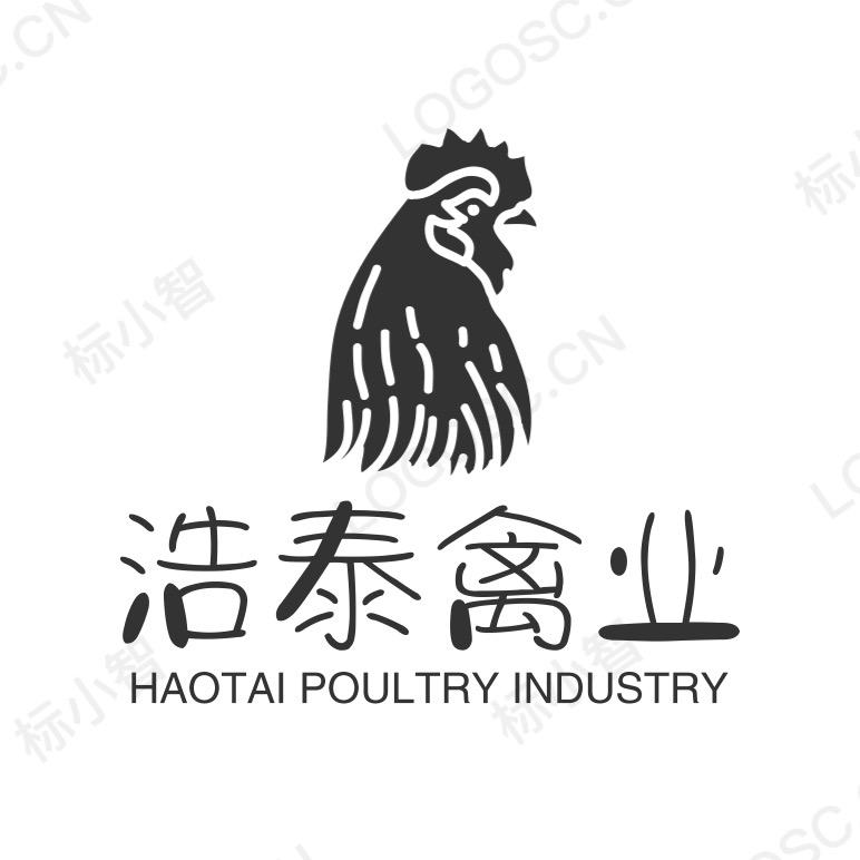 浩泰斗鸡
