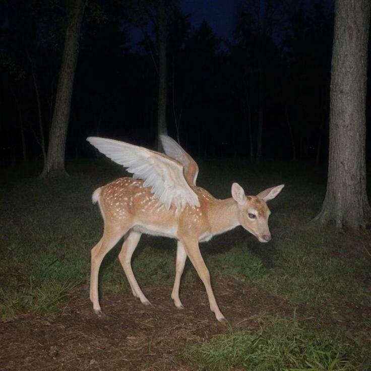 CS笑笑