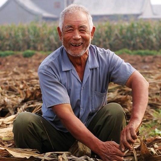 山野村夫