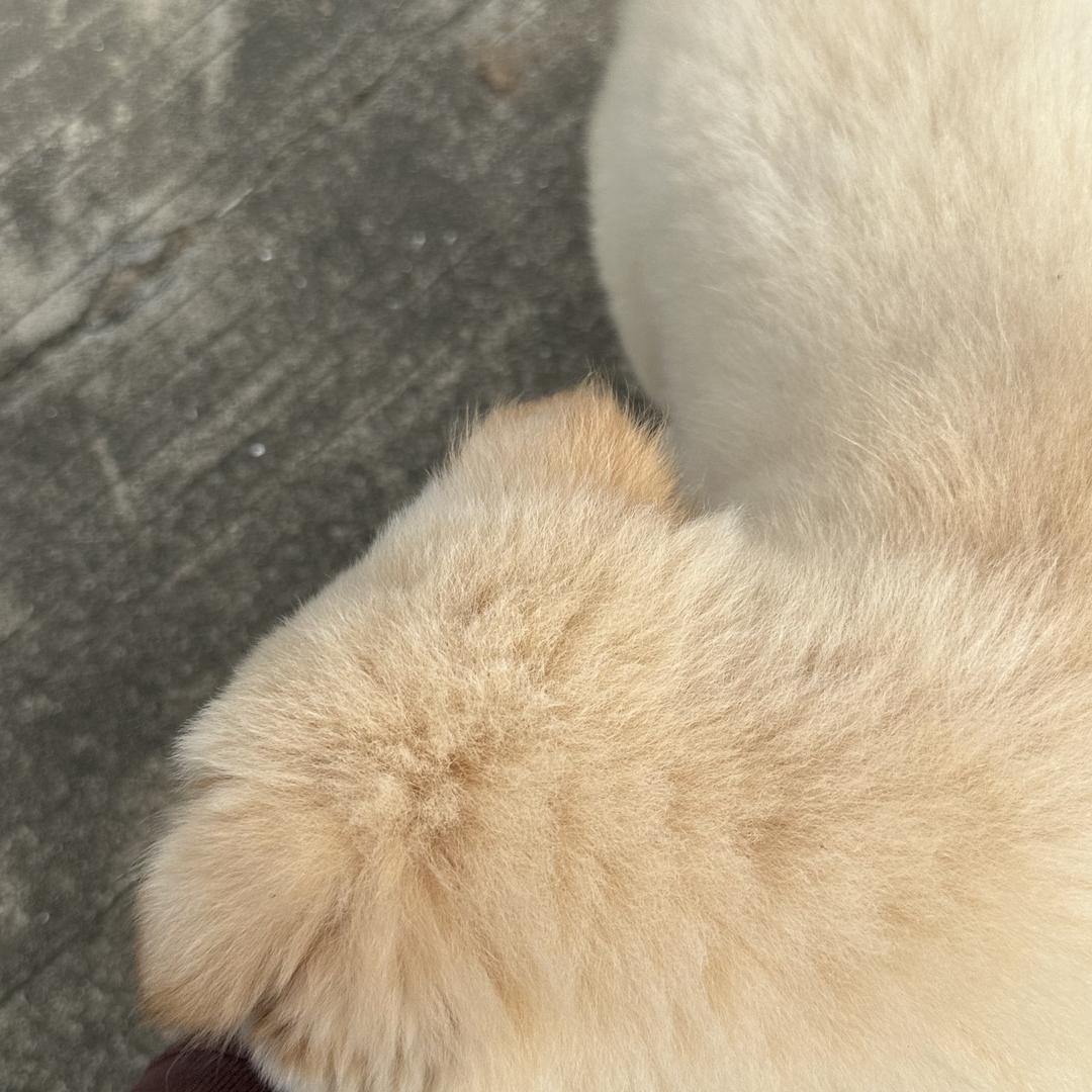 御点小零食店
