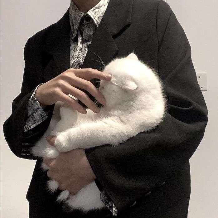 呓  语 .