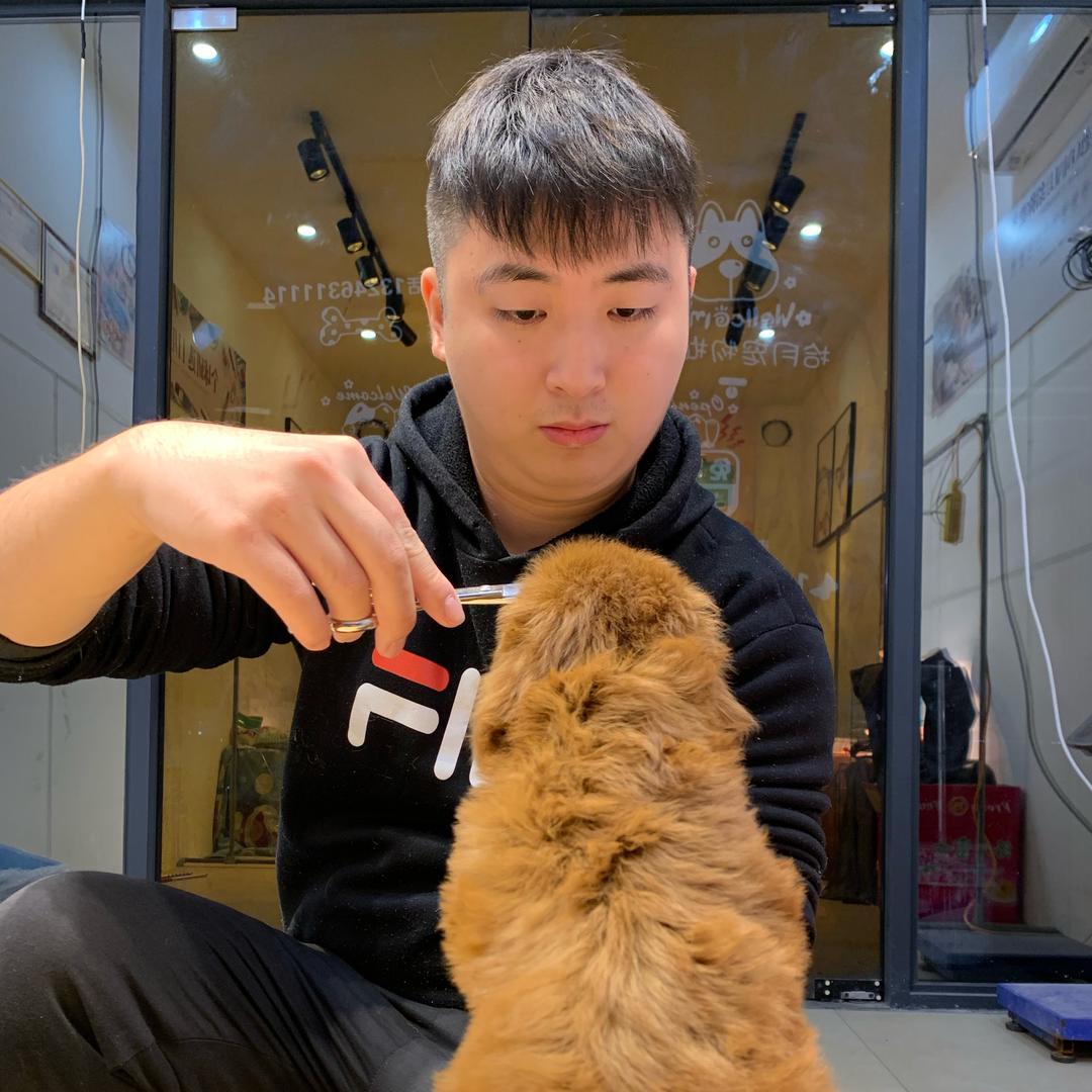 拾月秒宠物