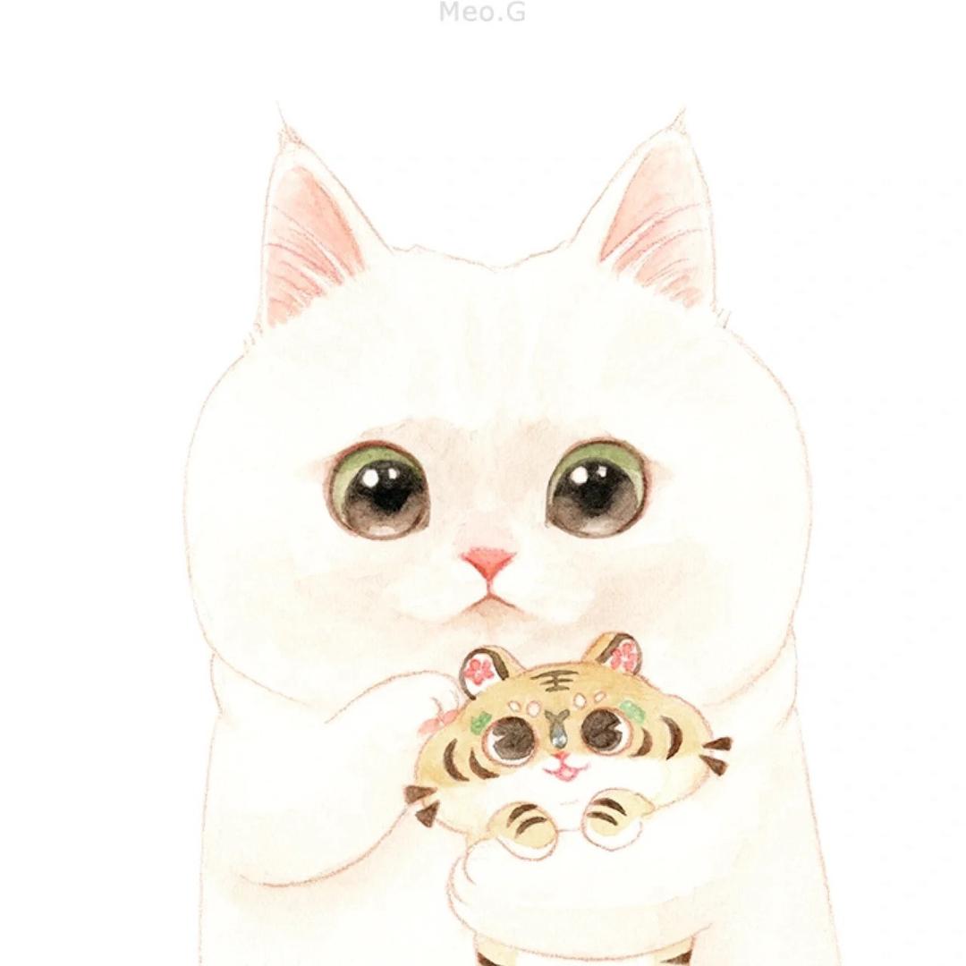 T.兔子🐰