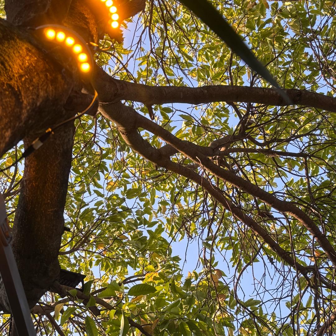 🌈酷小孩不吃糖