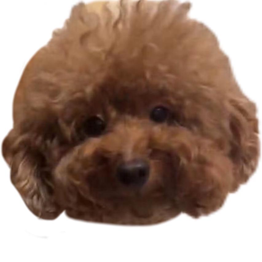 臭风不活了