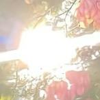 睡一觉起来发现自己成了全世界争抢的存在