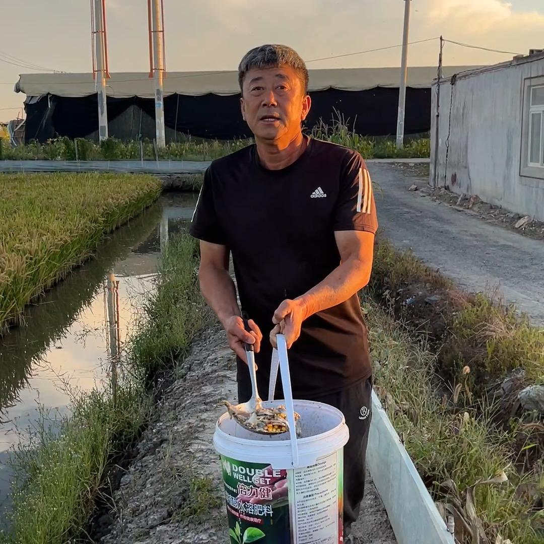 盘锦文武河蟹