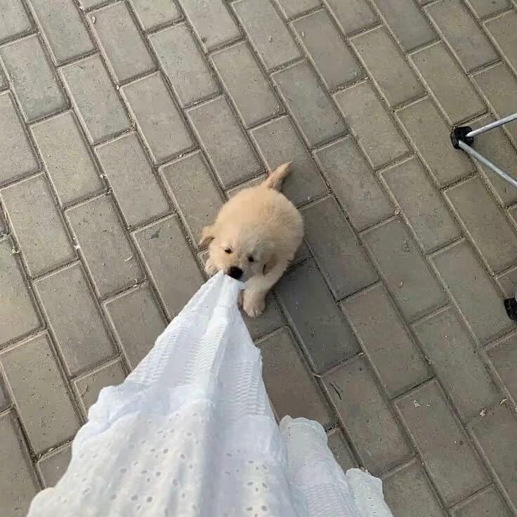 嗜睡